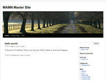 Tablet Screenshot of mamn1.com